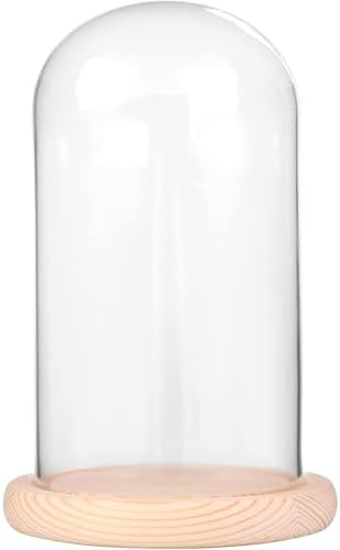 Ivolador 7 x 4 Glass Cloche Dome with Wood Base