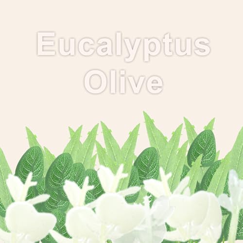 Dushle 24 Inch Summer Eucalyptus Wreath for Front Door