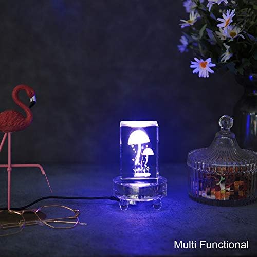 IFOLAINA Crystal LED Light Base Display Stand