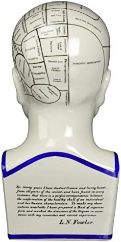 Design Toscano Phrenology Head Bust Statue 12 Inch Porcelain