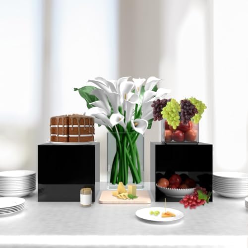 2 Pack 12 Inch Black Acrylic Display Box with Open Side