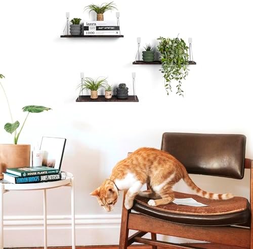 MITIME Floating Shelves Set of 3 Rustic Wood Wall Storage Shelves