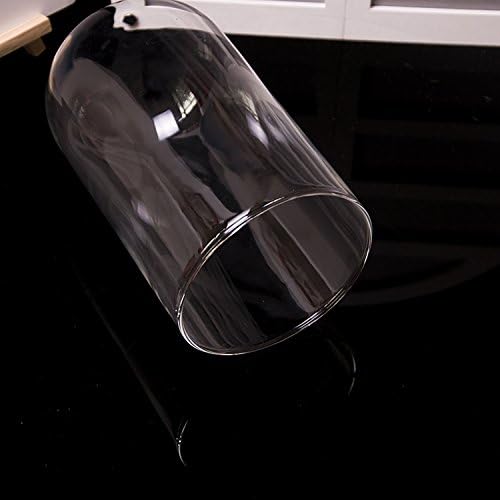 Ivolador 7 x 4 Glass Cloche Dome with Wood Base