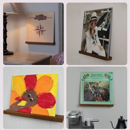 Vinyl Wall Mount Record Holder Set of 6