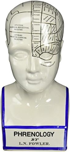 Design Toscano Phrenology Head Bust Statue 12 Inch Porcelain