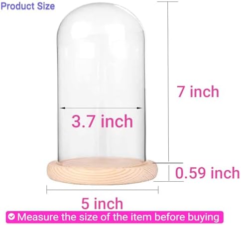 Ivolador 7 x 4 Glass Cloche Dome with Wood Base