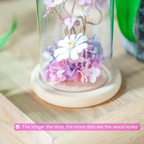 Ivolador 7 x 4 Glass Cloche Dome with Wood Base