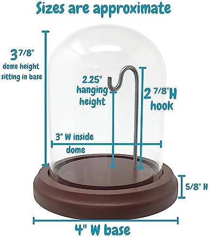 BANBERRY DESIGNS Clear Glass Dome with Hook and Wooden Base
