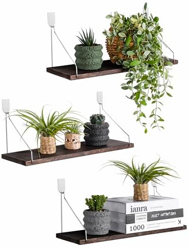 MITIME Floating Shelves Set of 3 Rustic Wood Wall Storage Shelves