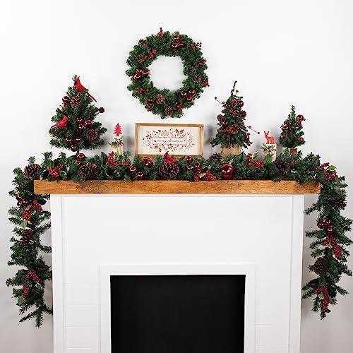 Northlight Artificial Colorado Spruce Wreath 16 Inch
