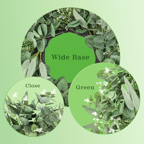Dushle 24 Inch Summer Eucalyptus Wreath for Front Door