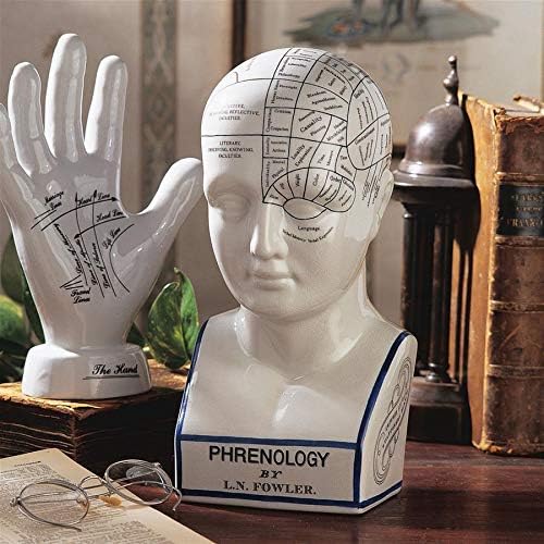 Design Toscano Phrenology Head Bust Statue 12 Inch Porcelain