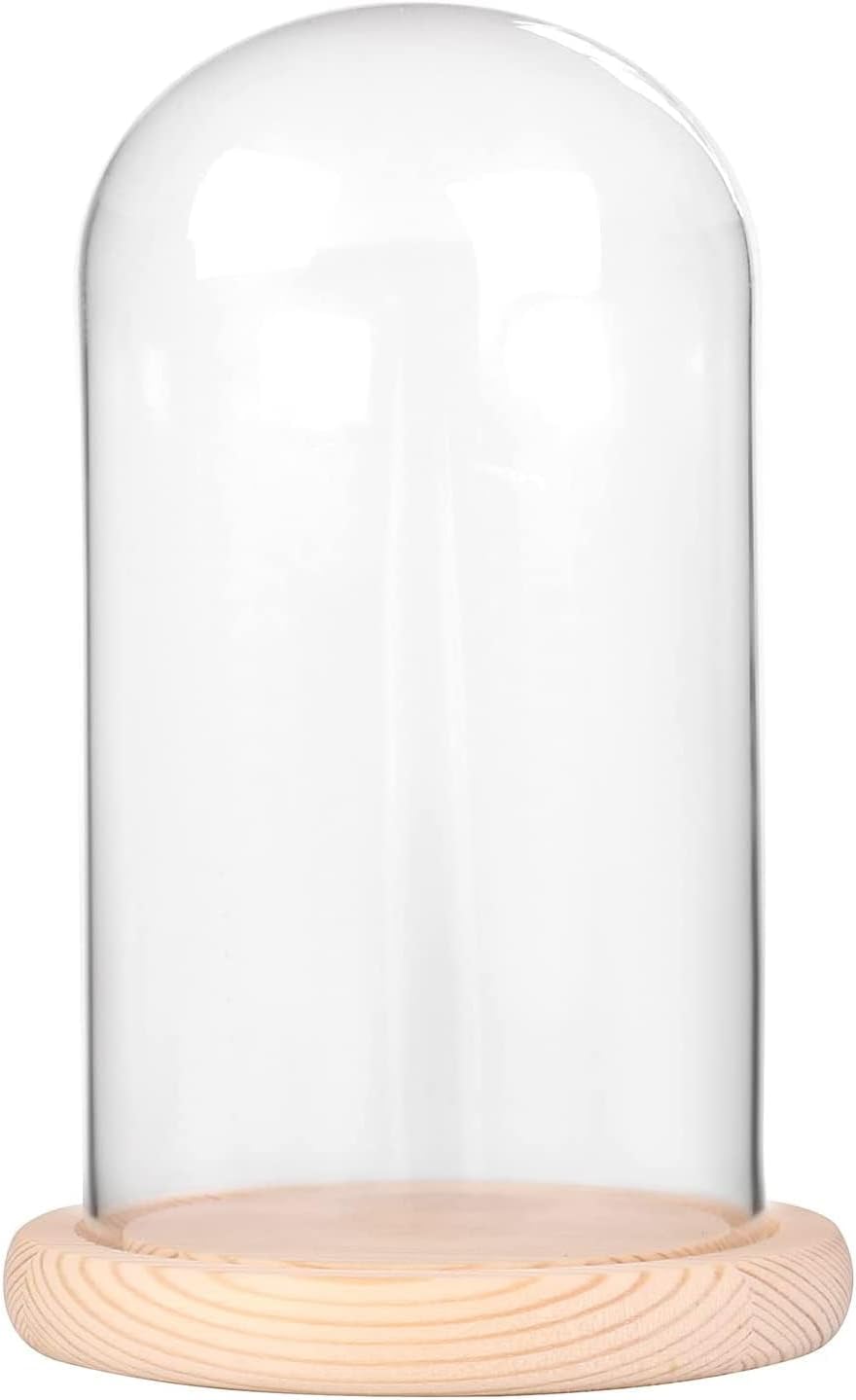 Ivolador 7 x 4 Glass Cloche Dome with Wood Base