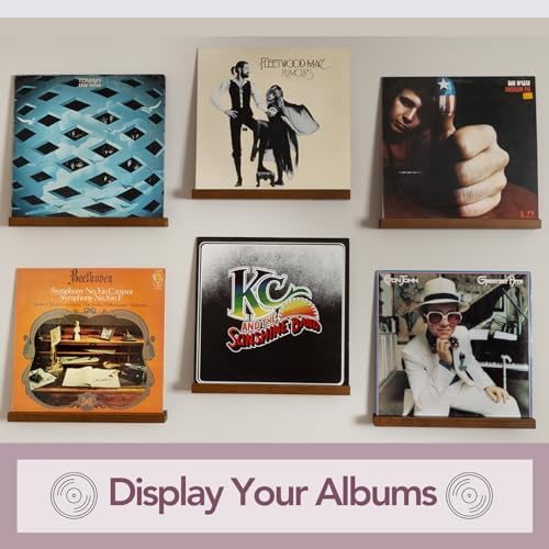 Vinyl Wall Mount Record Holder Set of 6
