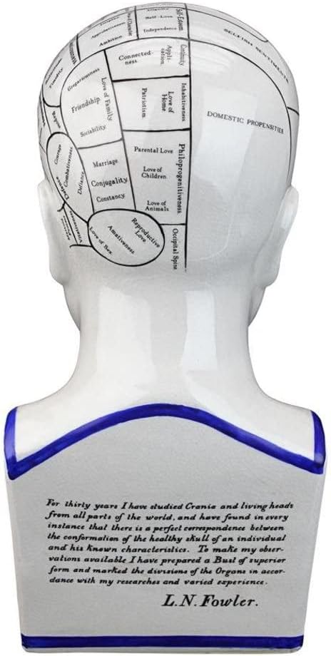 Design Toscano Phrenology Head Bust Statue 12 Inch Porcelain