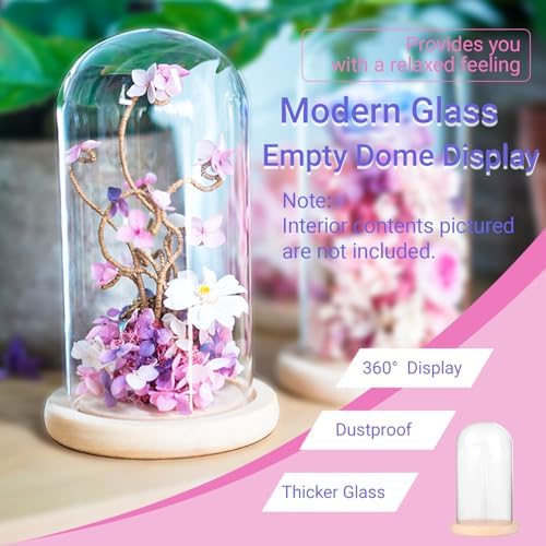Ivolador 7 x 4 Glass Cloche Dome with Wood Base