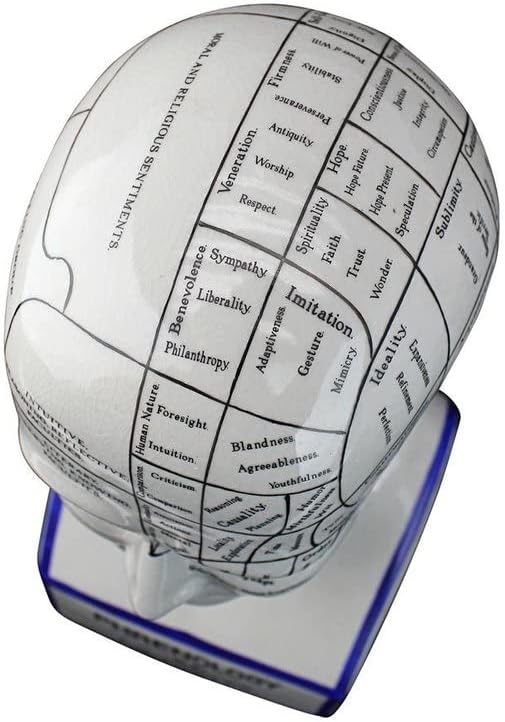 Design Toscano Phrenology Head Bust Statue 12 Inch Porcelain