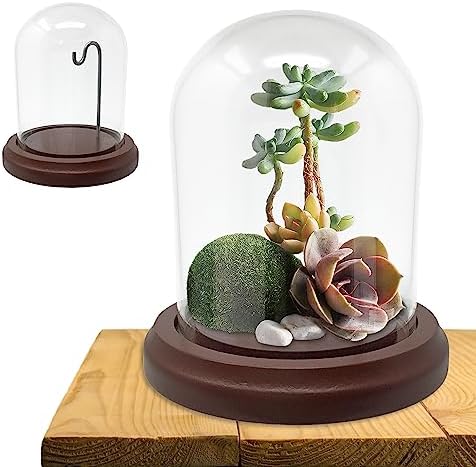 BANBERRY DESIGNS Clear Glass Dome with Hook and Wooden Base