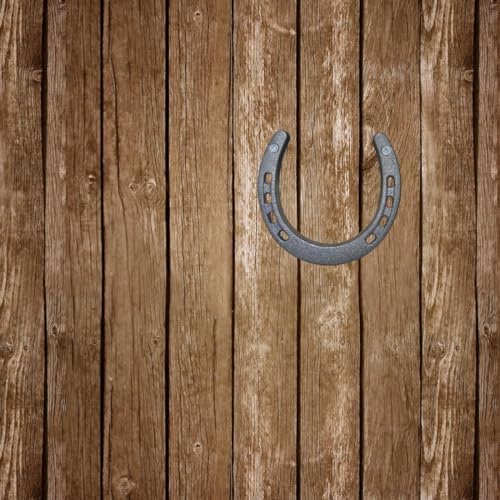 MEFORE Cast Iron Horseshoe Wall Decor 4PCS
