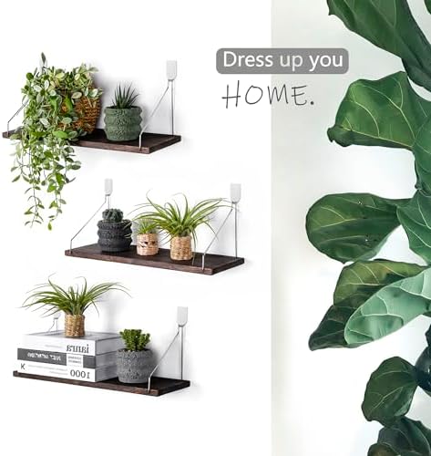 MITIME Floating Shelves Set of 3 Rustic Wood Wall Storage Shelves