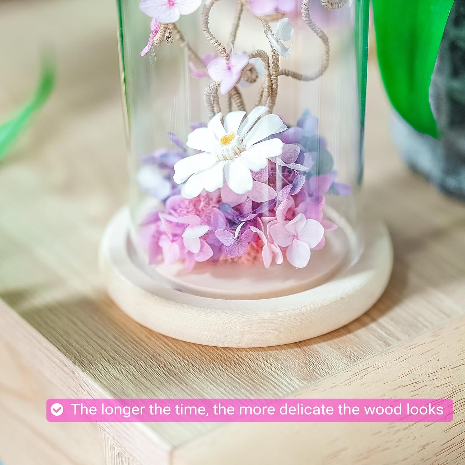 Ivolador 7 x 4 Glass Cloche Dome with Wood Base