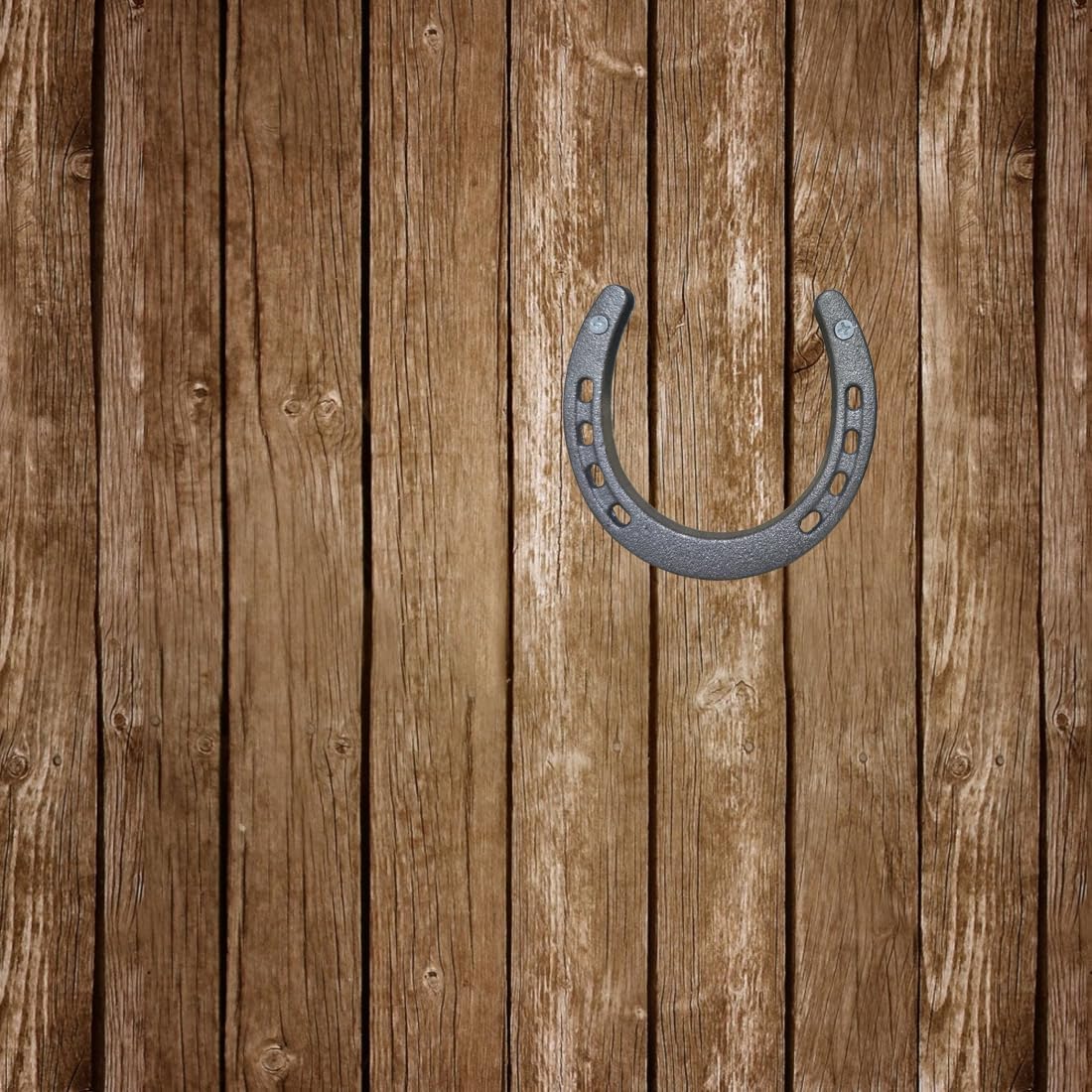 MEFORE Cast Iron Horseshoe Wall Decor 4PCS