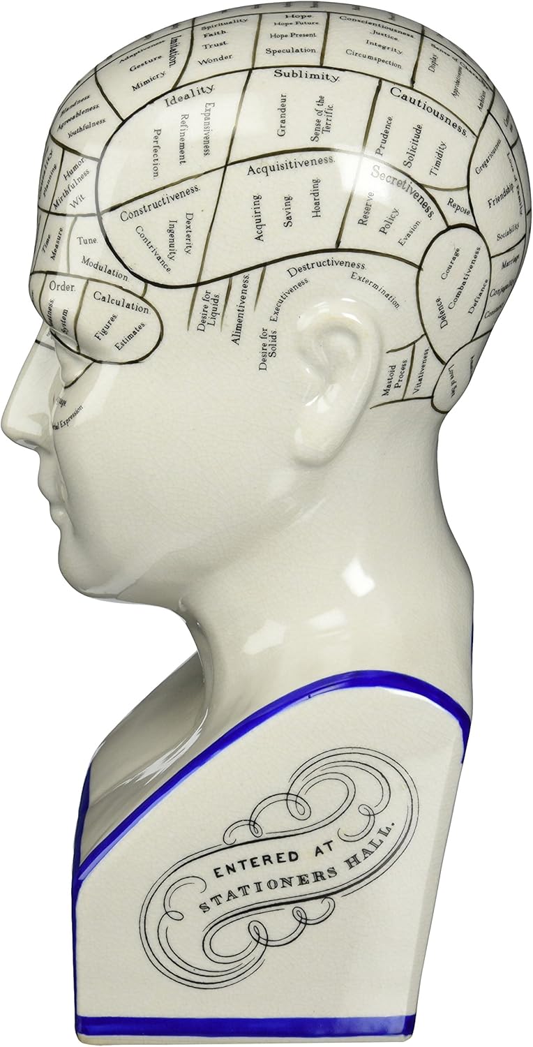 Design Toscano Phrenology Head Bust Statue 12 Inch Porcelain