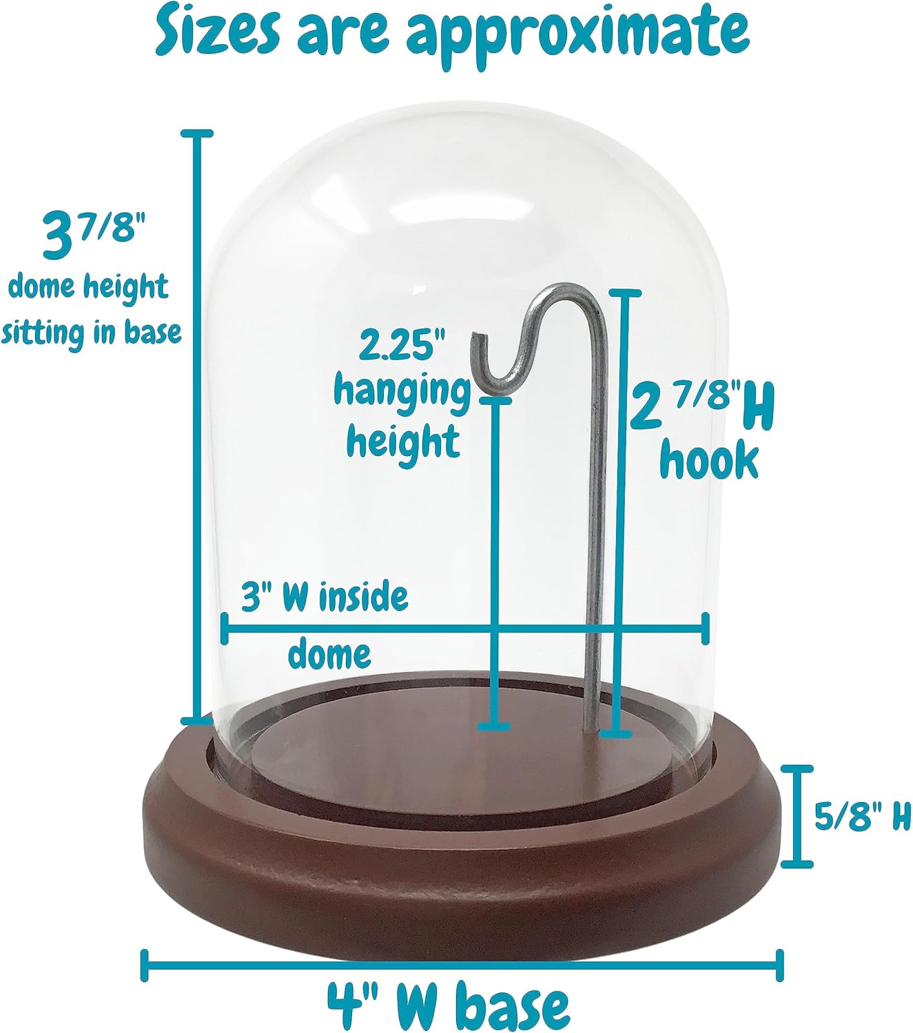 BANBERRY DESIGNS Clear Glass Dome with Hook and Wooden Base
