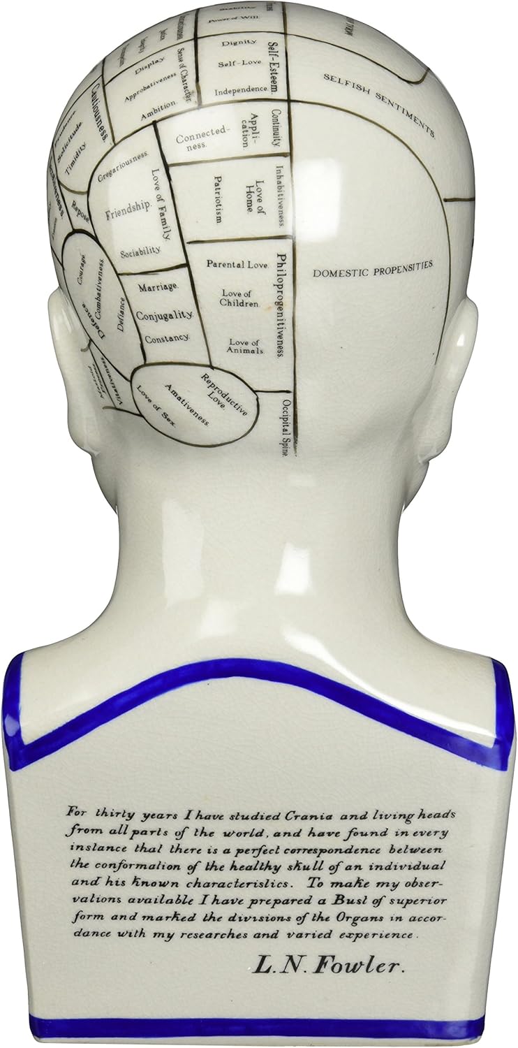 Design Toscano Phrenology Head Bust Statue 12 Inch Porcelain