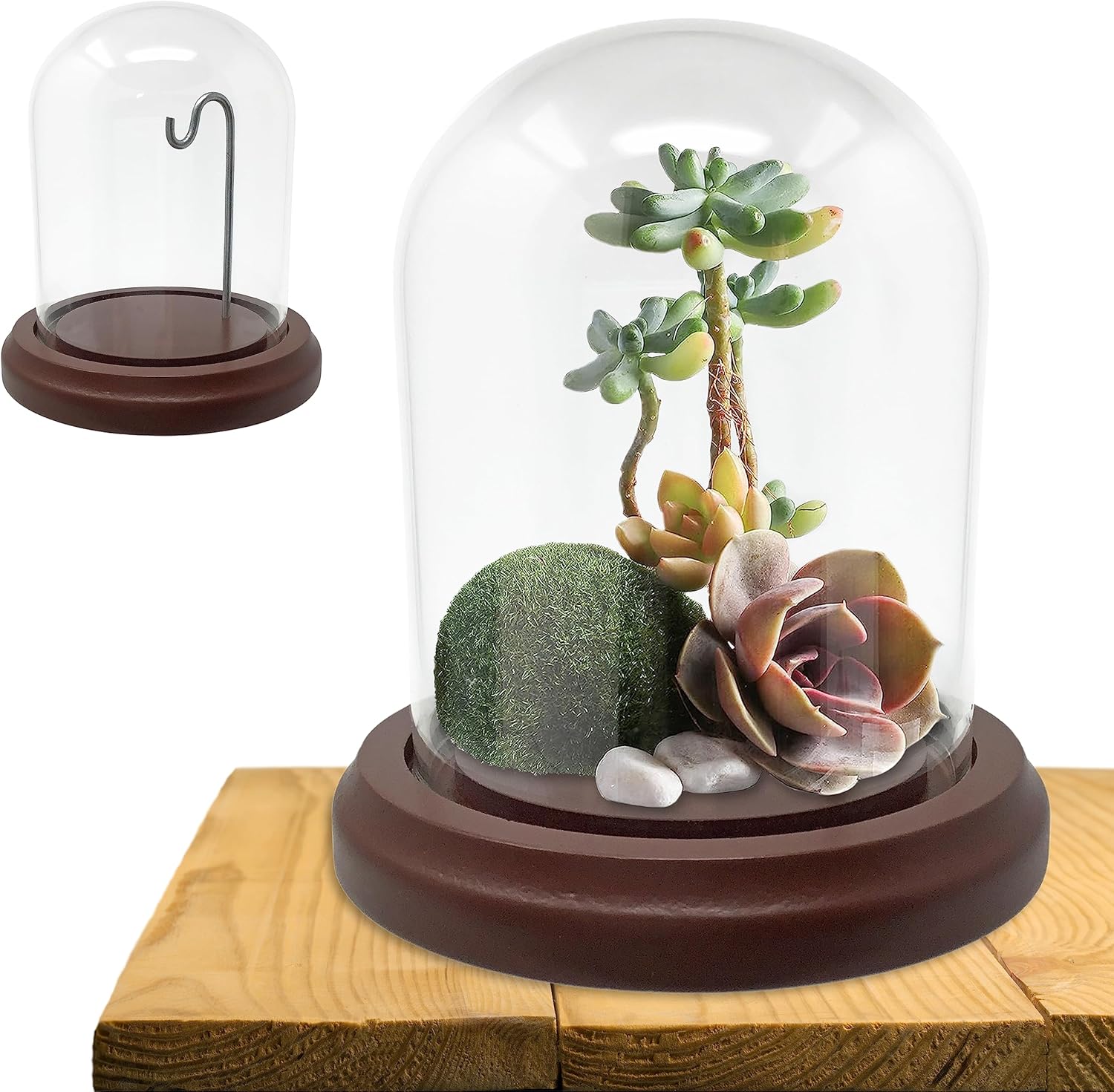 BANBERRY DESIGNS Clear Glass Dome with Hook and Wooden Base