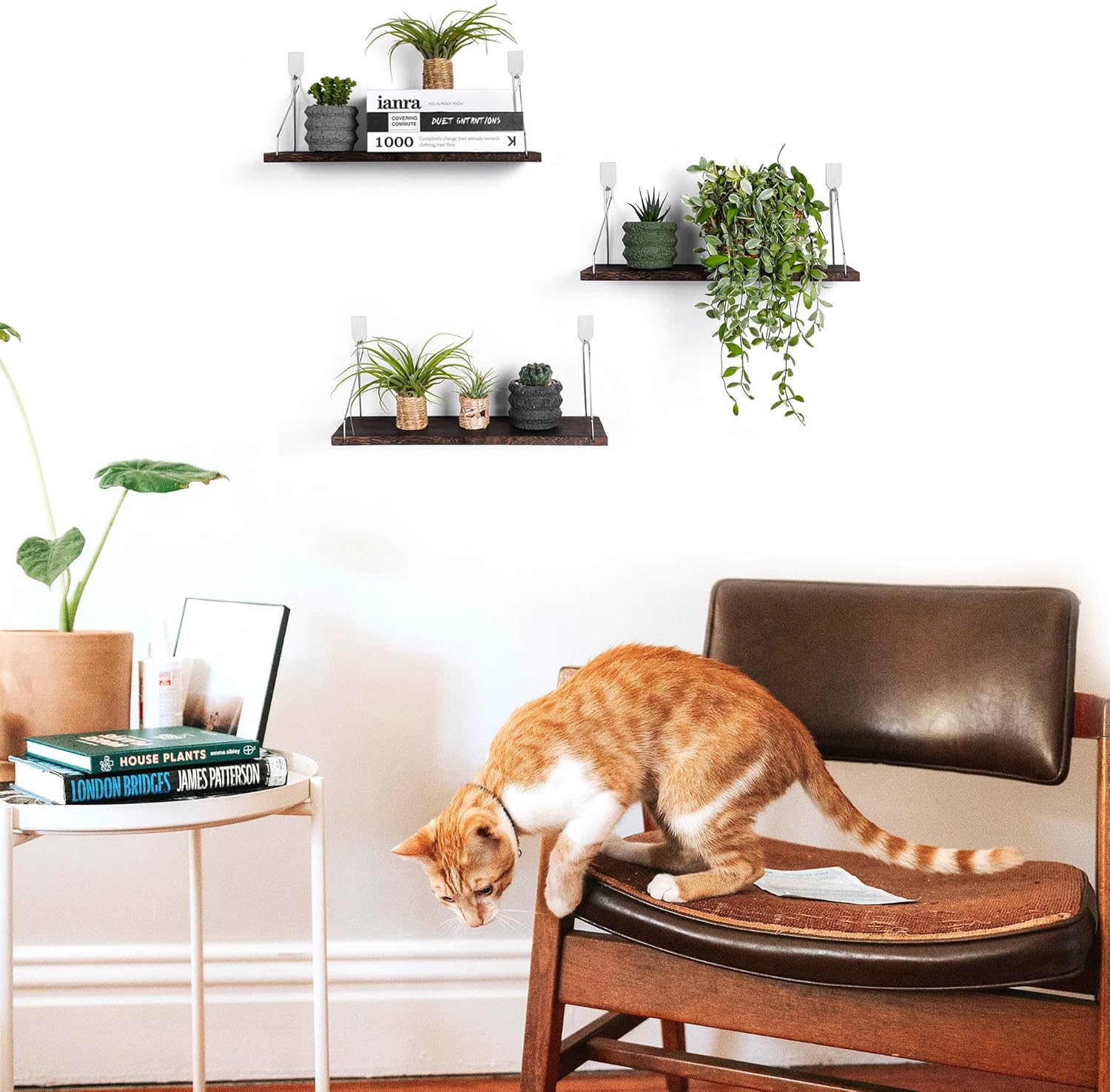 MITIME Floating Shelves Set of 3 Rustic Wood Wall Storage Shelves
