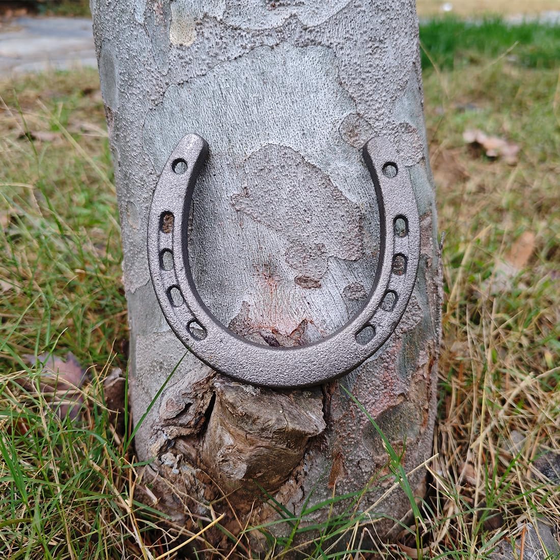MEFORE Cast Iron Horseshoe Wall Decor 4PCS