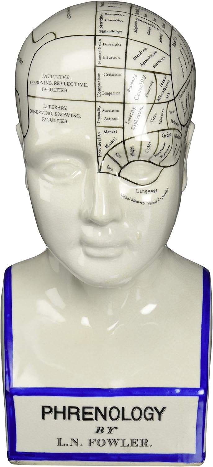 Design Toscano Phrenology Head Bust Statue 12 Inch Porcelain